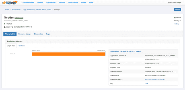 Monitoring applications details in YARN ResourceManager UI